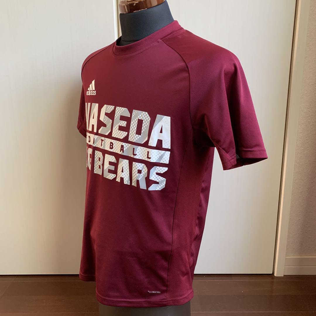 adidas×早稲田“BIG BEARS“チームトレーニングTシャツMDサイズ