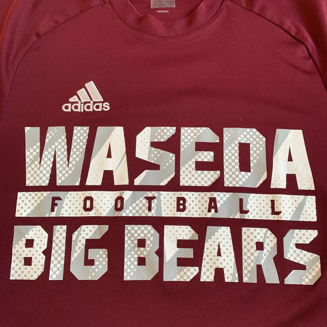 adidas×早稲田“BIG BEARS“チームトレーニングTシャツMDサイズ