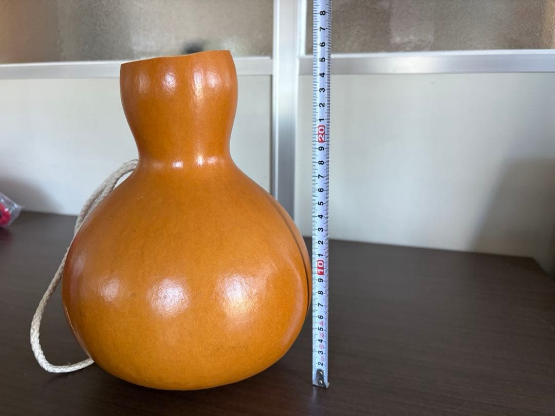 フラダンス用イプ 約15cm