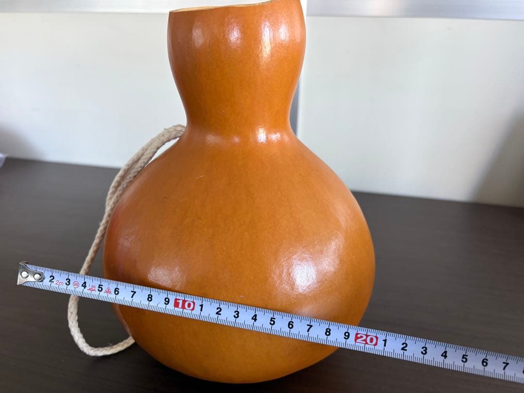 フラダンス用イプ 約15cm
