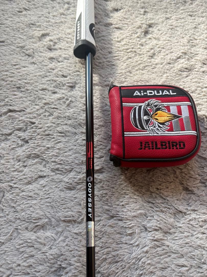 ODYSSEY JAILBIRD Ai-DUAL S2S 34㌅