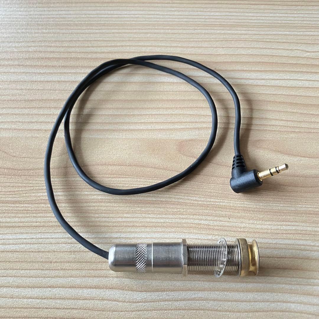 ギター L.R. Baggs M1 Active