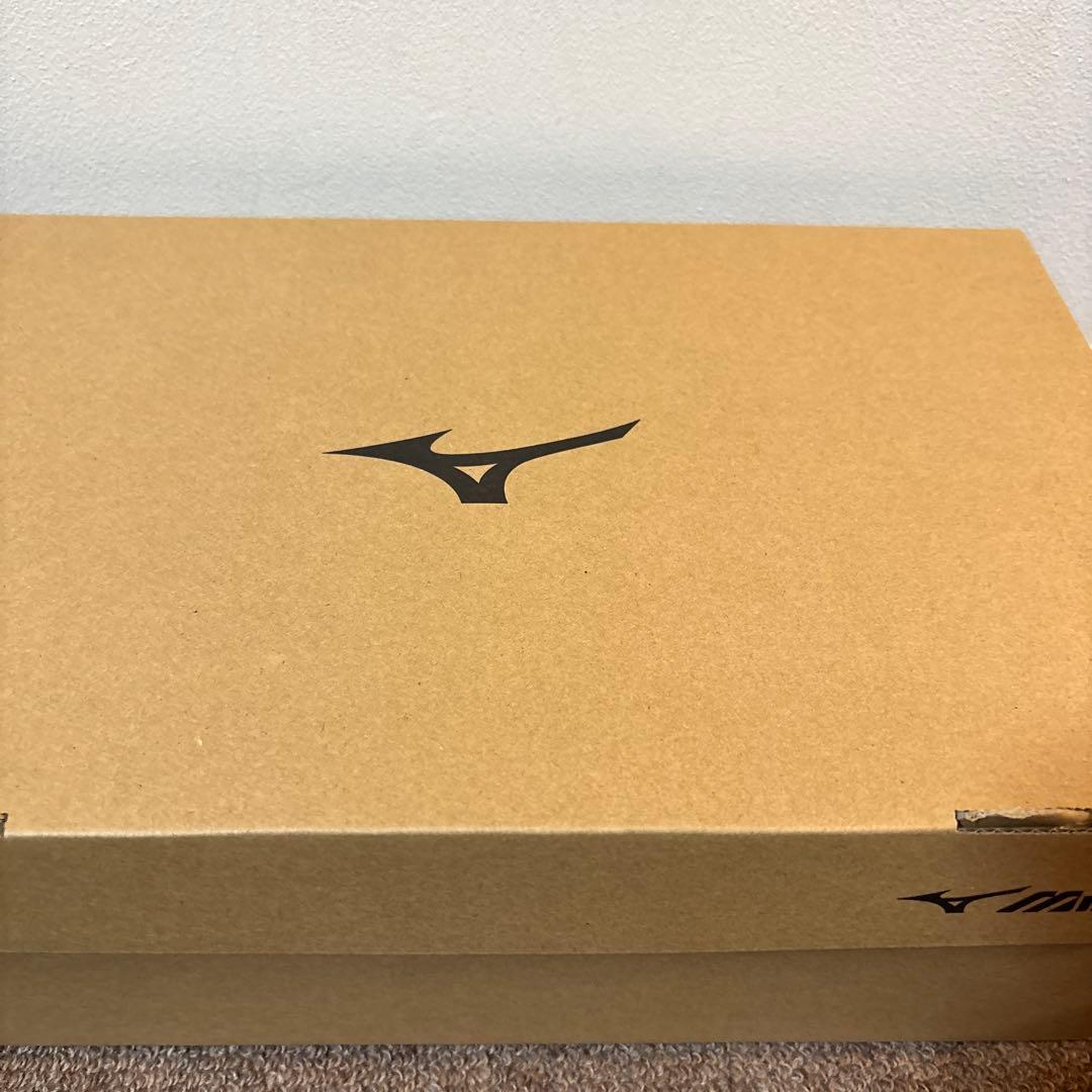 Mizuno ネオゼン26.5cm