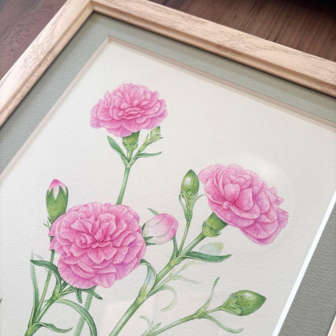 カーネーション　水彩画　原画