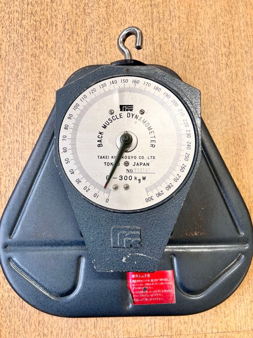 背筋力計　300kg スポーツテスト用　竹井機器
