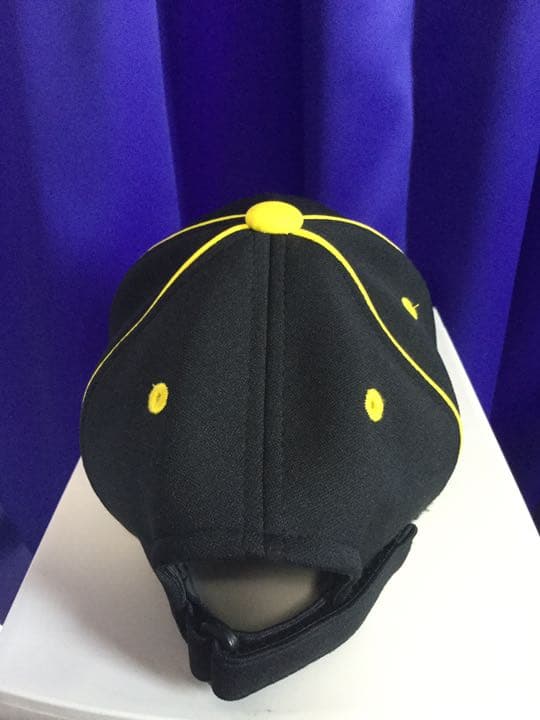 【女子プロ野球・希少】honeys キャップ 帽子 グッズ一式