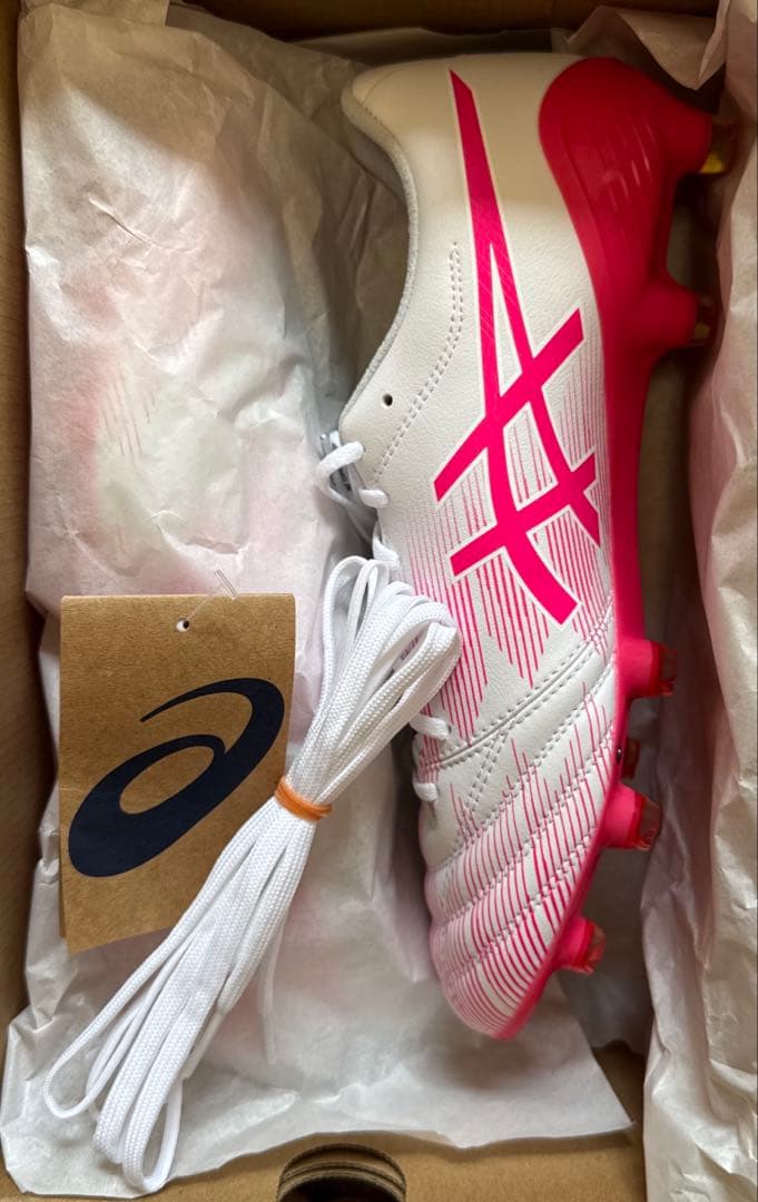 【週末限定】DS LIGHT X-FLY 5 LIMITED 26.0cm