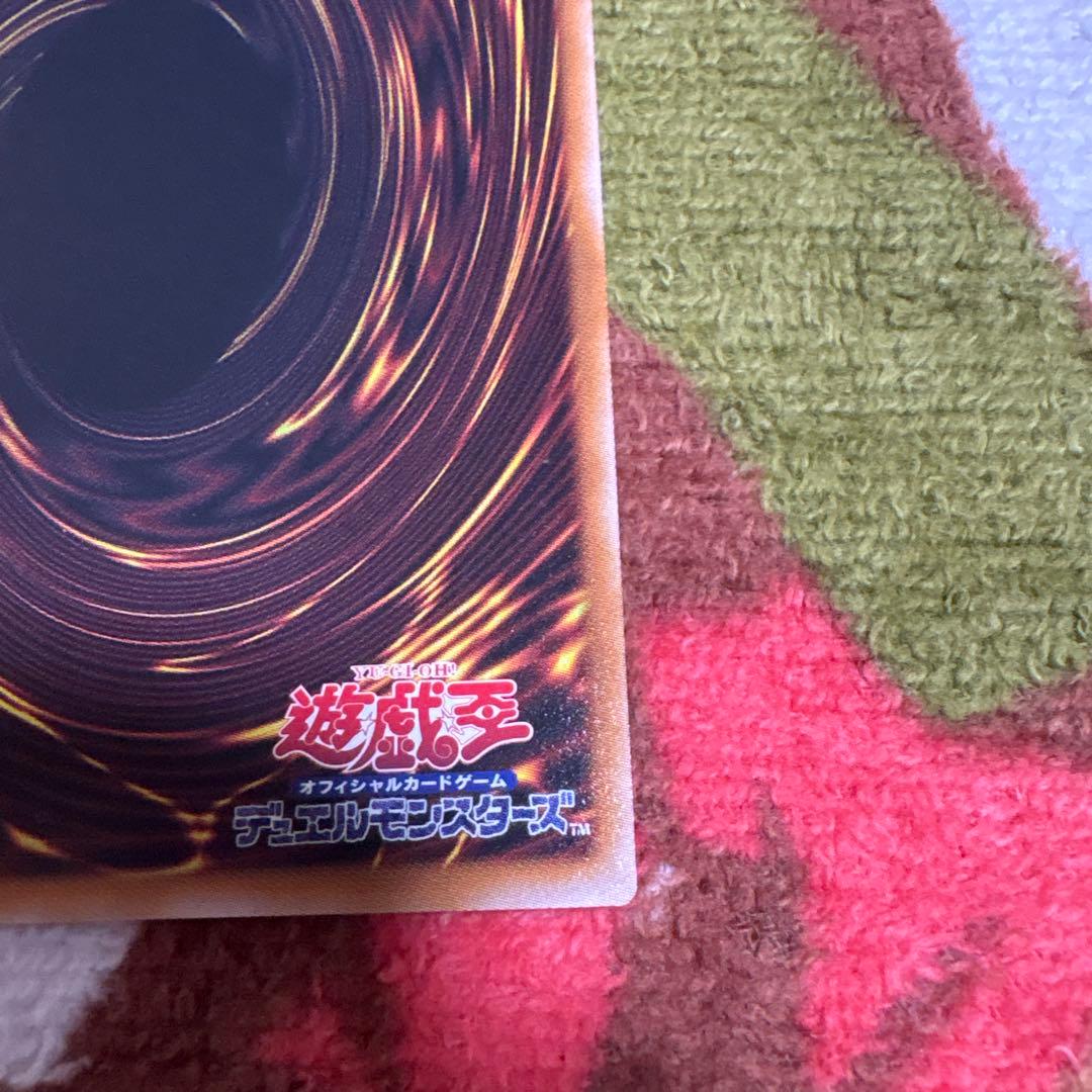 白き竜の落胤　プリシク