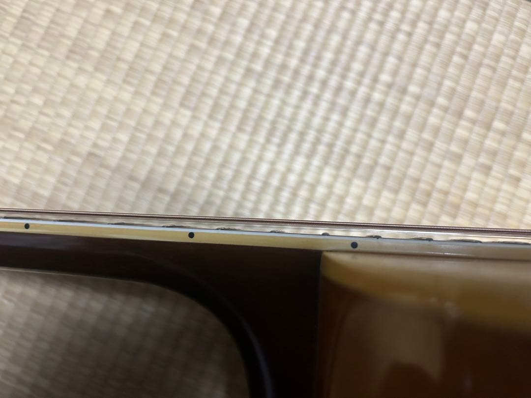 MORALES M250 縦ロゴハードケース付き　ジャンク扱い