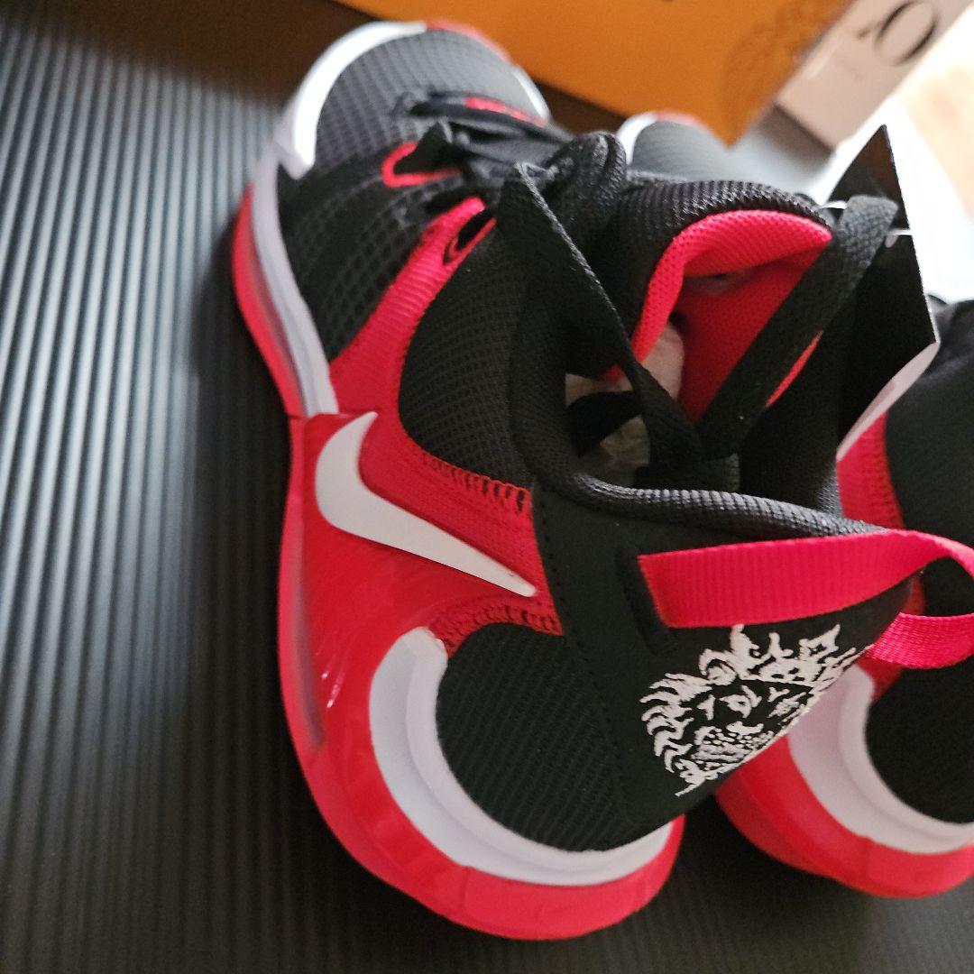 未使用❕ナイキ LEBRON WITNESS Ⅶ 25.5cm