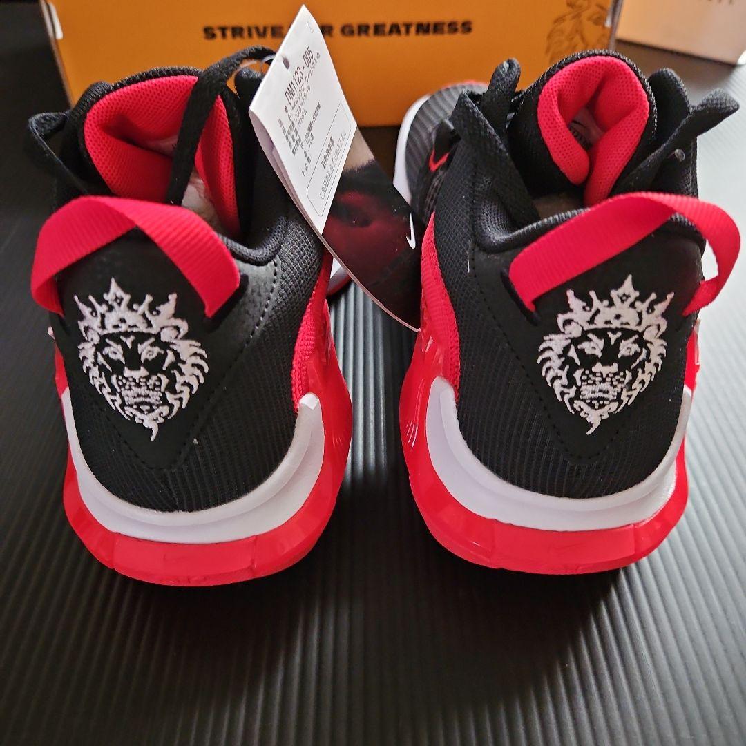 未使用❕ナイキ LEBRON WITNESS Ⅶ 25.5cm