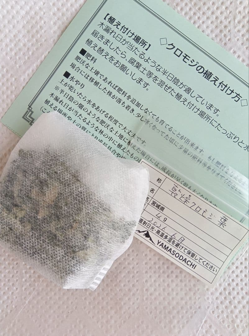 ✨️〜とも〜クロモジ株2本