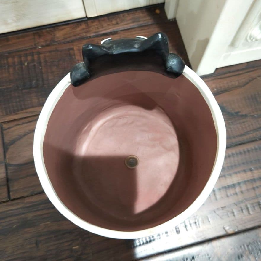 寄付 対象 セトクラフト　黒　猫　キャット　マッシュルーム 鉢植　ブラウン　陶器