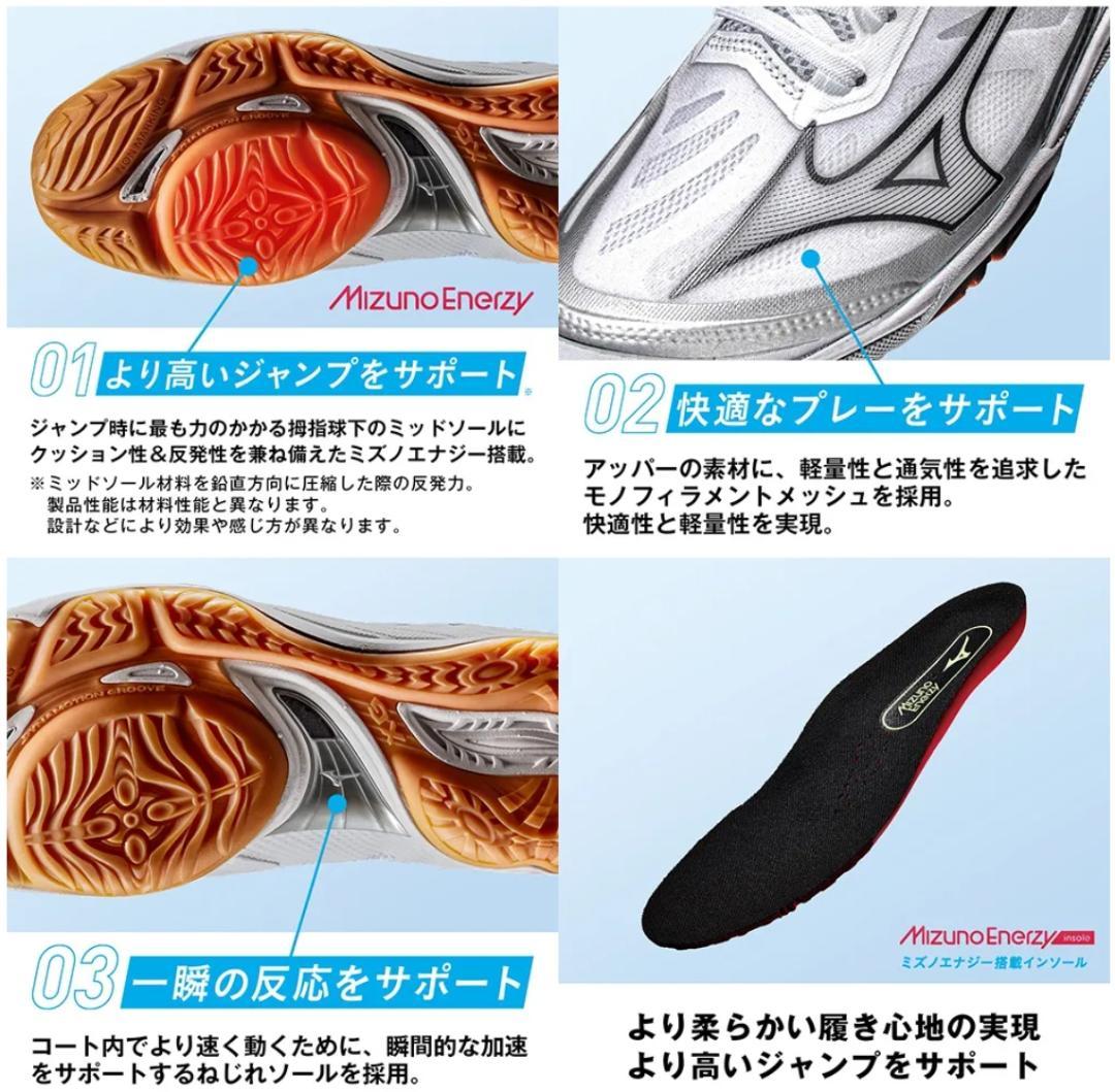 【限定値下】未使用品 ミズノ フライ 23.0 バレーボールシューズ