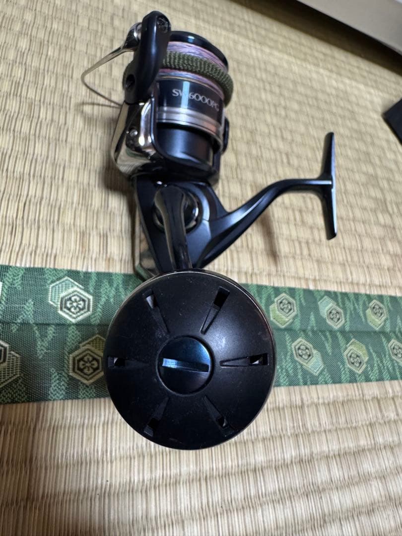 SHIMANO シマノ 20ストラディック SW6000PG