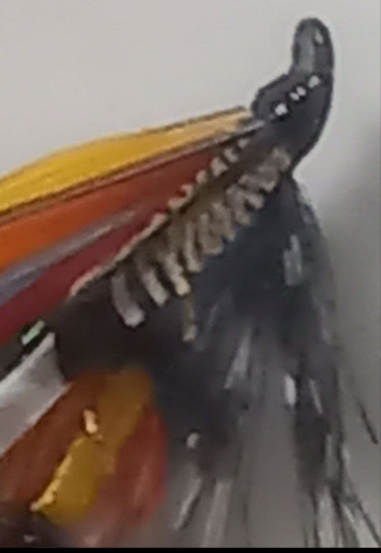 ※ヴィンテージ※額装サーモンフライ※
