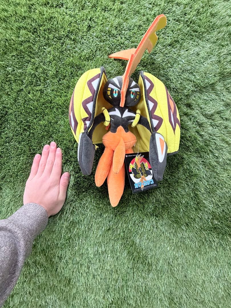 【全てタグ付】 ポケセン限定レア3体セット （イーブイ・カプコケコ・ミニリュウ）
