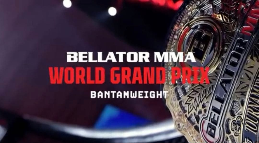 ボクシング PATCHY MIX BELLATOR MMA LIMITED GLOVE