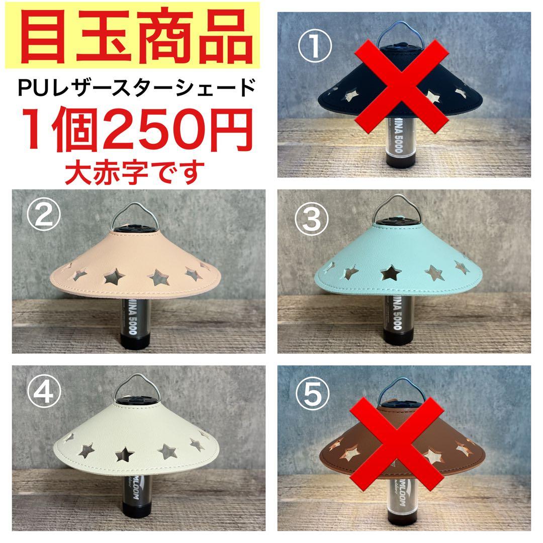 カバーが無料　LUMINA5000 ルミナ5000 ゴールゼロ　スームルーム　③