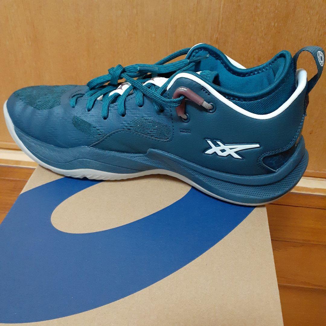 アシックス NOVA SURGE LOW 2 26cm