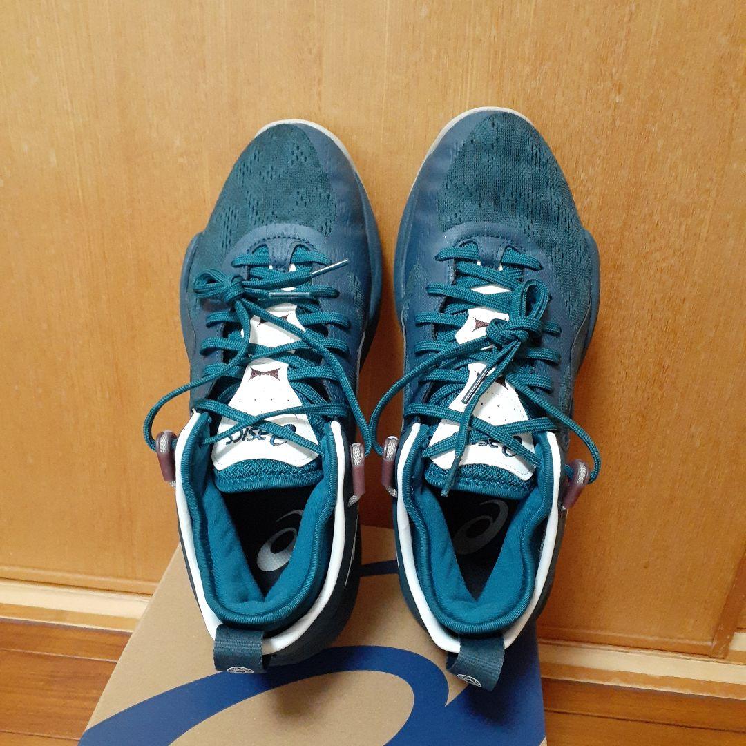 アシックス NOVA SURGE LOW 2 26cm