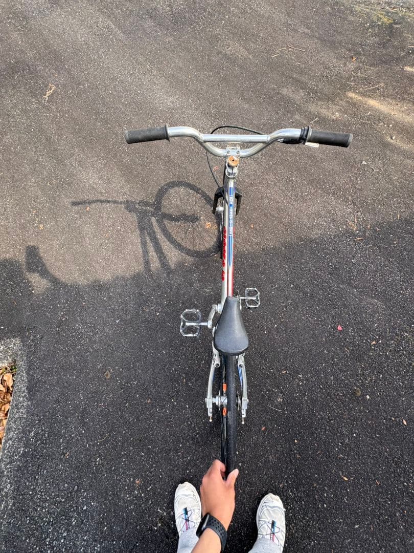 2018 SE MINI RIPPER 子供用