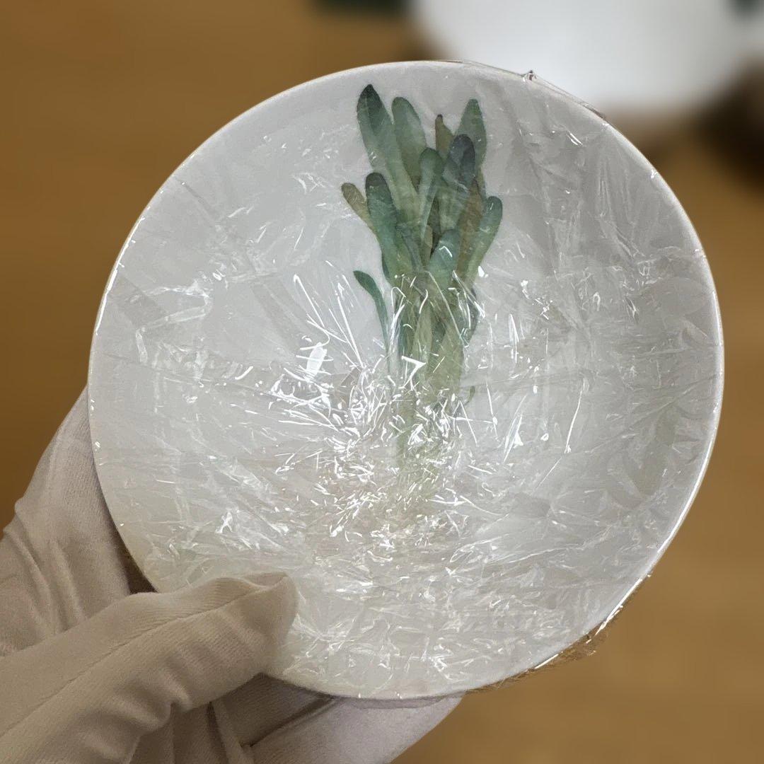 ノリタケ Noritake 京香旬菜　野菜　ボウル5個セット　2セット