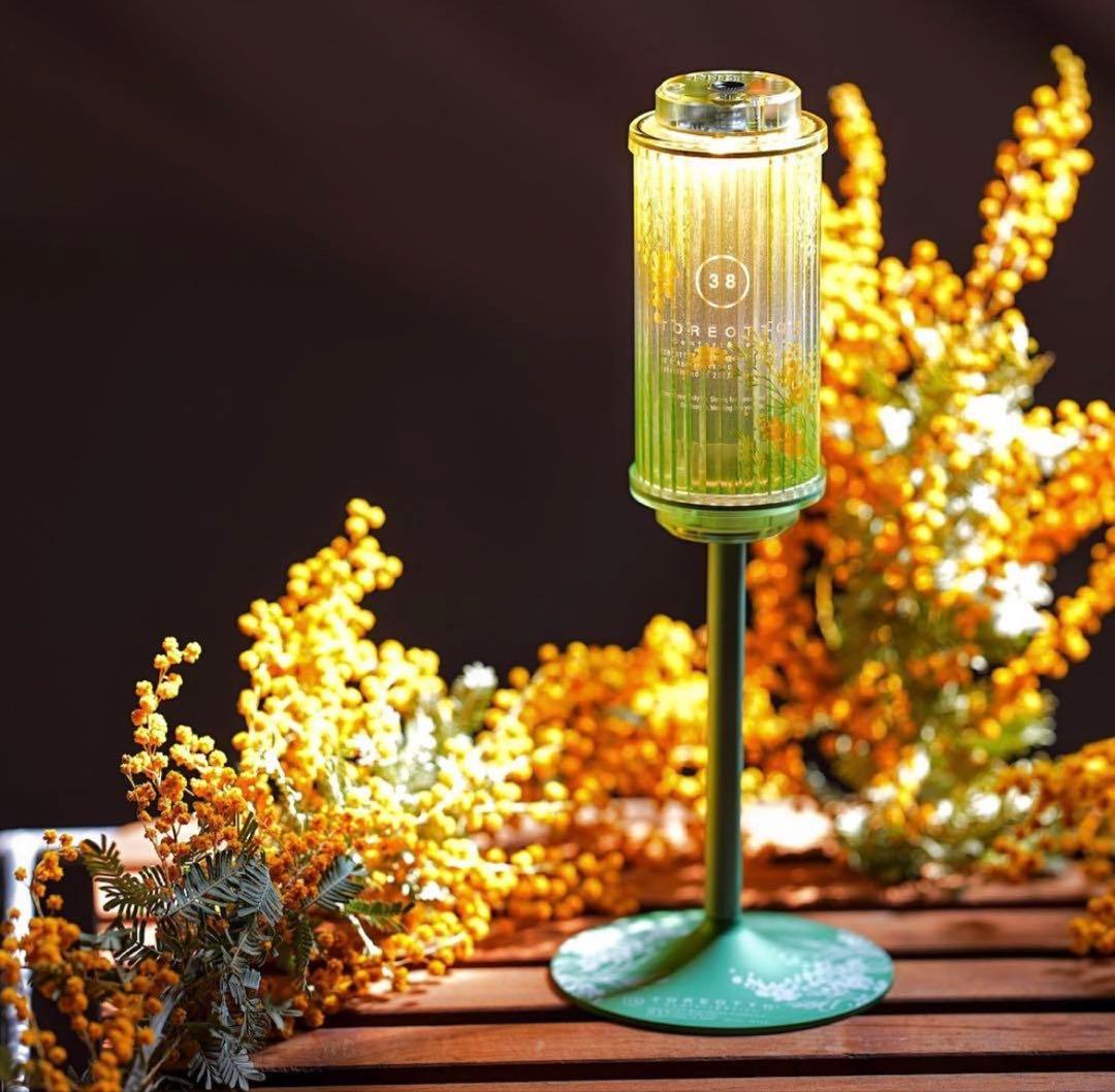 38explore 38-kT Mimosa Edition 2026 限定品