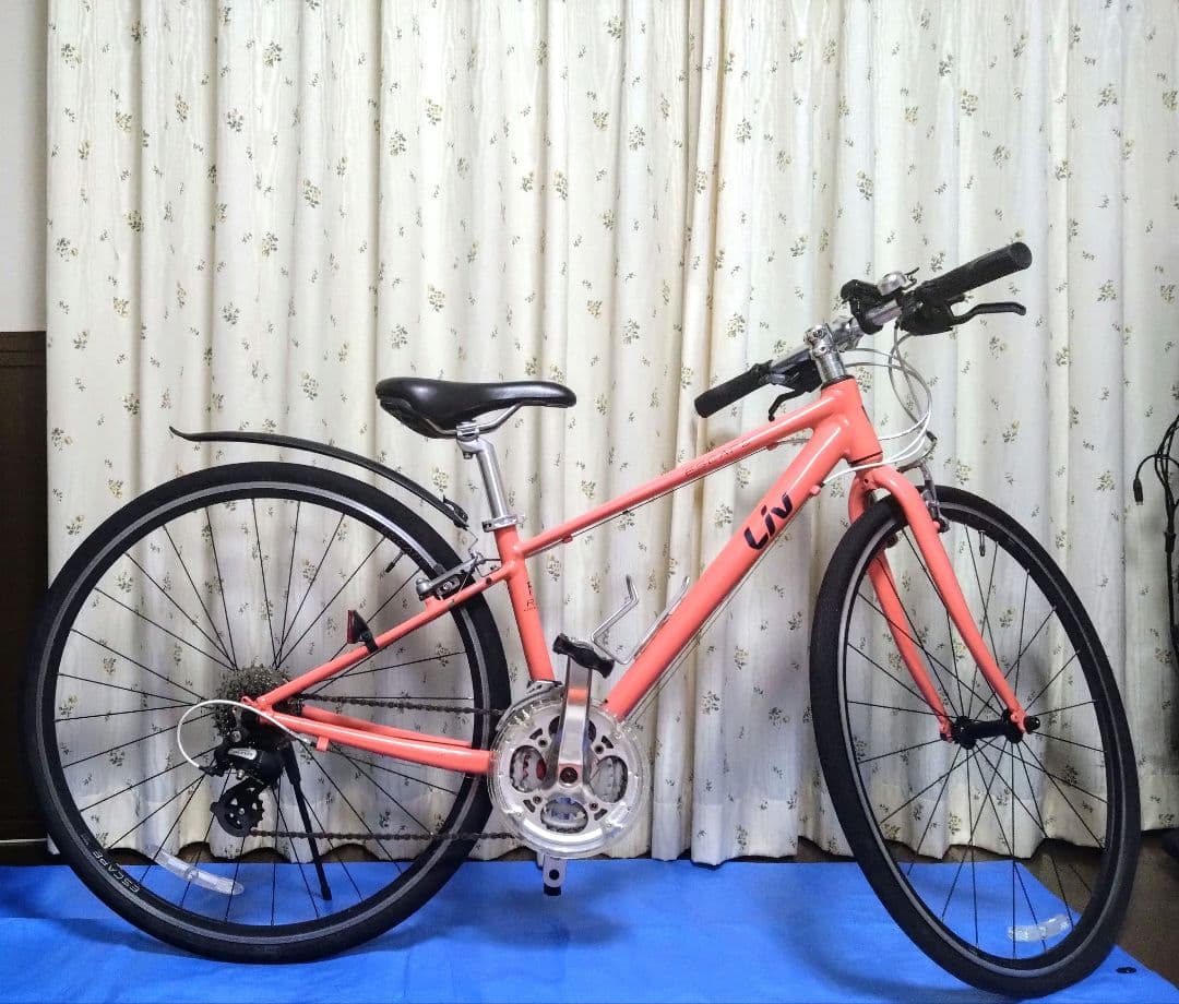 macha 手渡し希望・愛知県 GIANT Liv Escape R3W