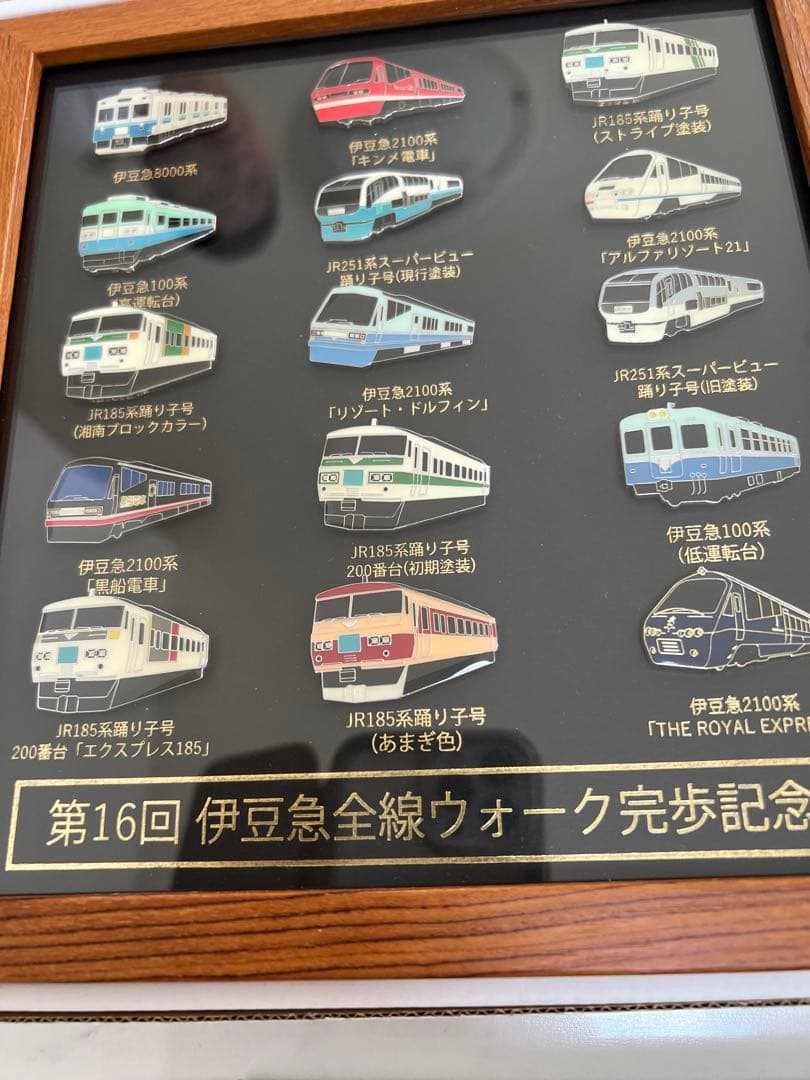 伊豆急全線ウォーク 完歩記念 ピンバッチ