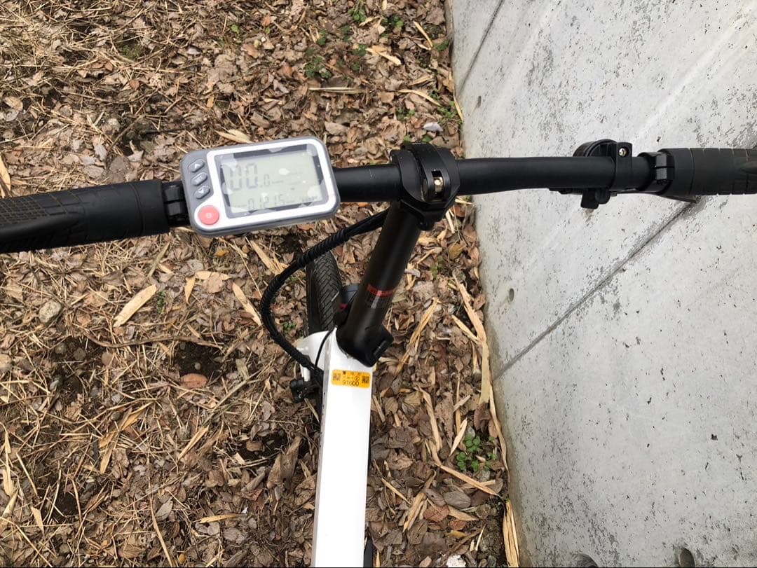 ENTREX 電動アシスト自転車 ホワイト