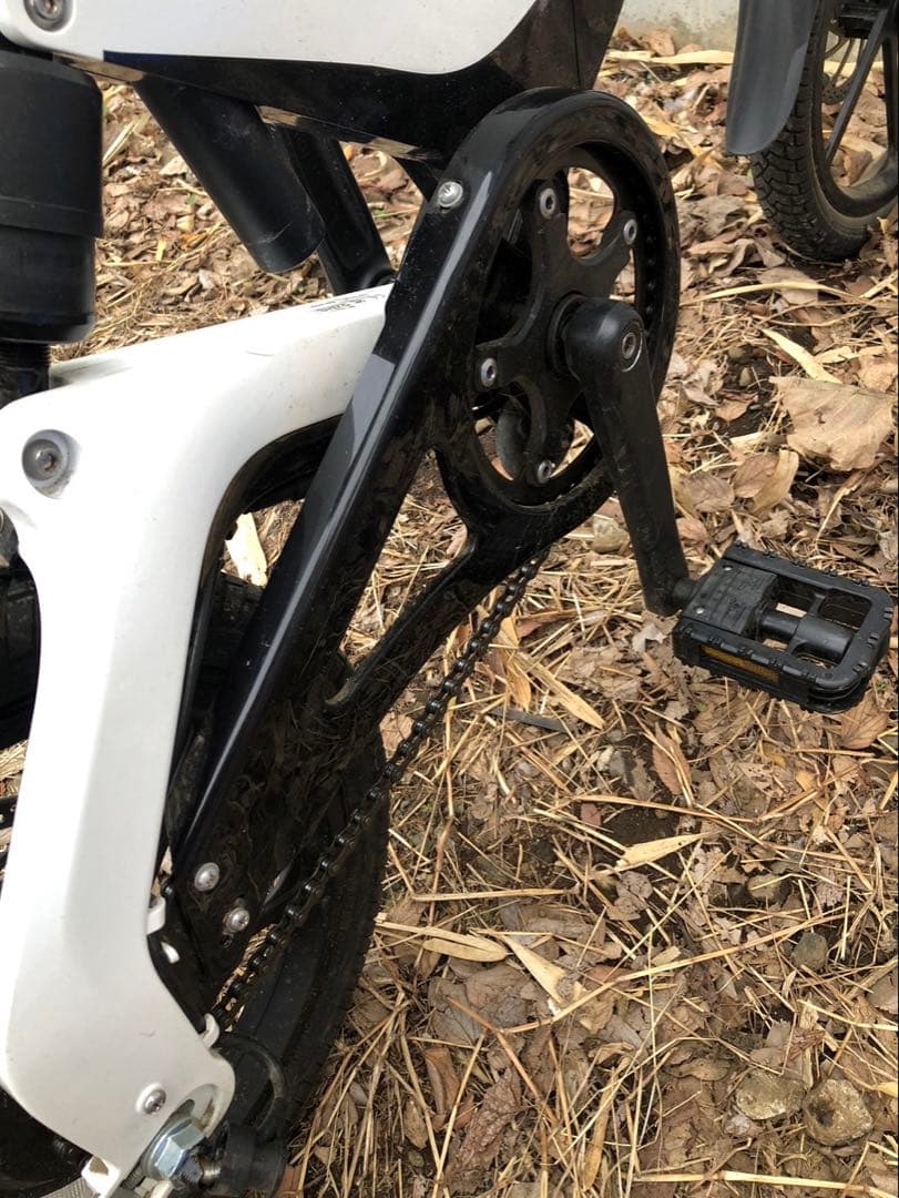 ENTREX 電動アシスト自転車 ホワイト