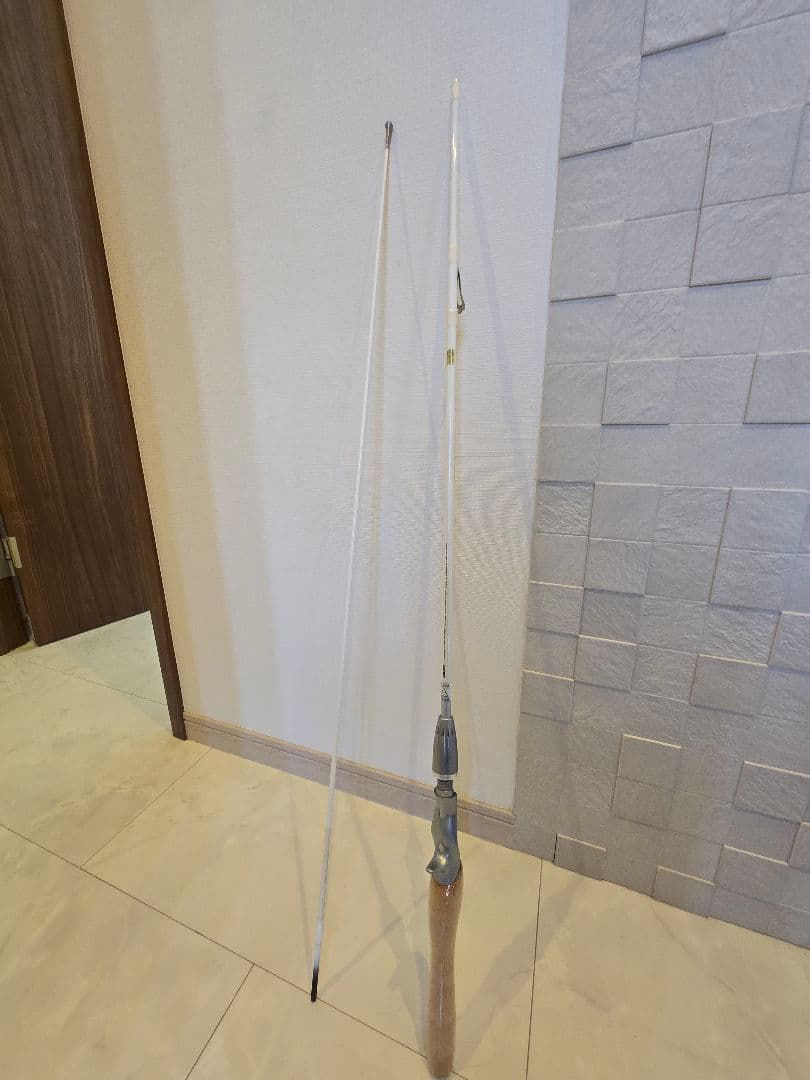 プロキャスター Z　DAIWA