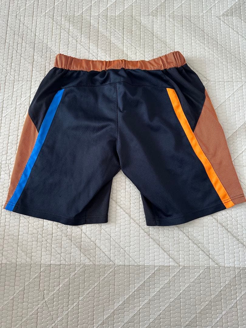 バドミントン ハーフパンツ リーチョンウェイ 廃盤モデル