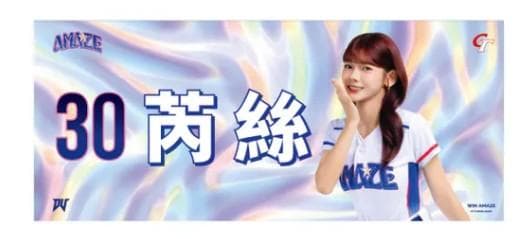 2026　WBC　30　芮絲　リース　Iris　応援　タオル