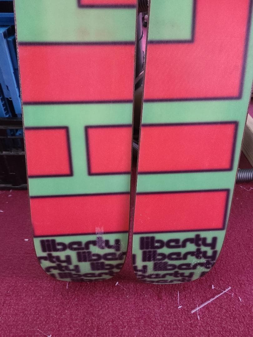 スキー 194 LIBERTY Genome