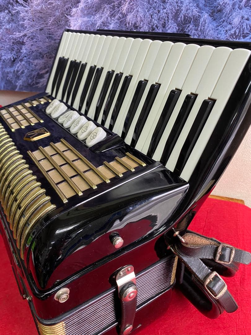 Hohner Verdi II アコーディオン マスターパーンSW付木材ブロック