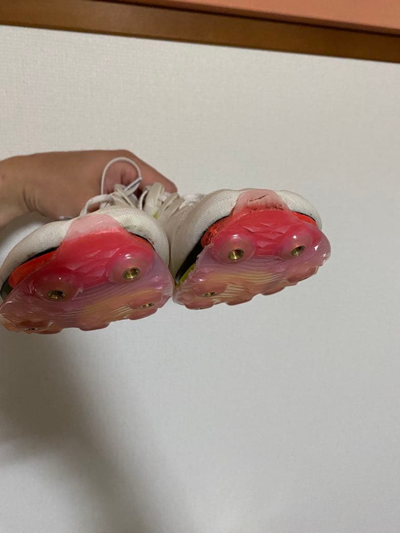 Nike Air Zoom Max Fly 28cm 五輪カラー　※ピンなし