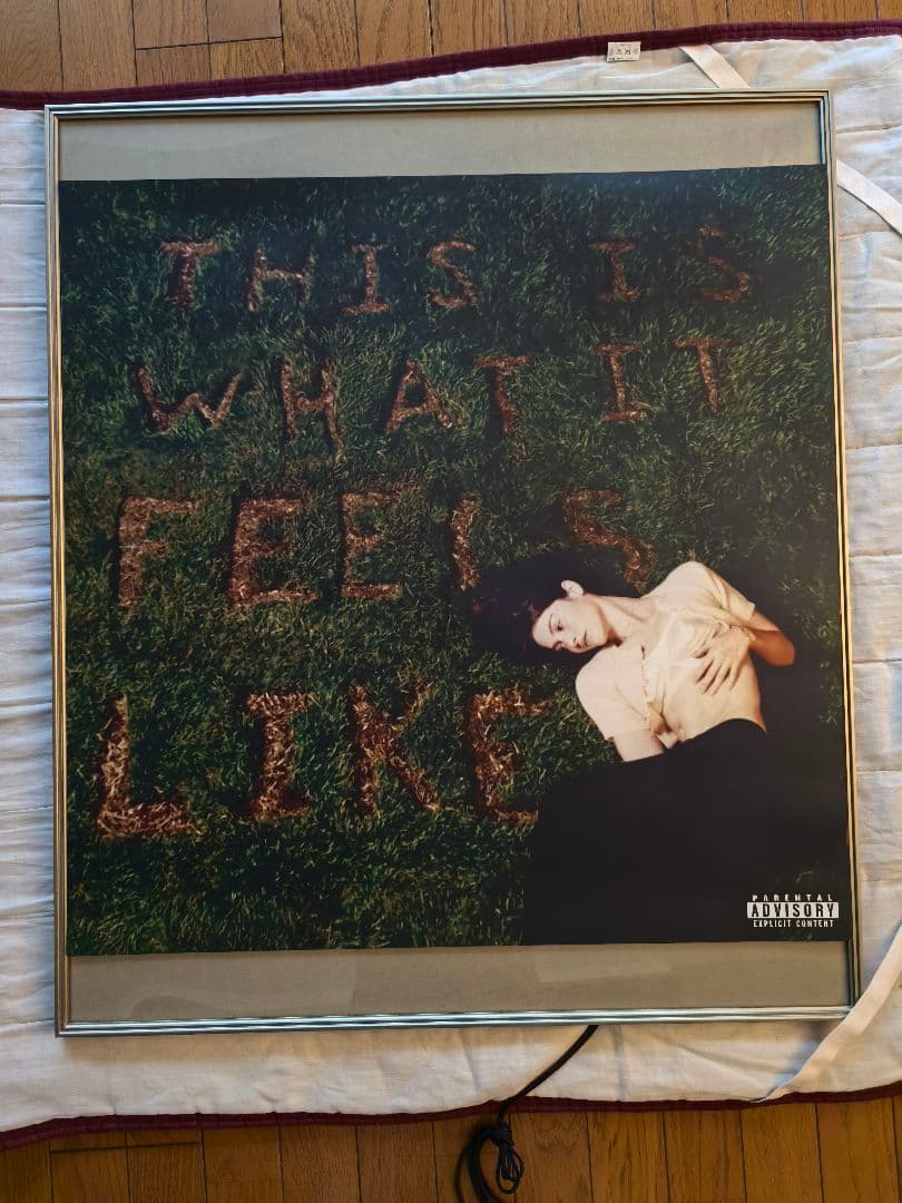 グレイシーエイブラムス-ThisIs WhatItFeelsLike特注ポスター
