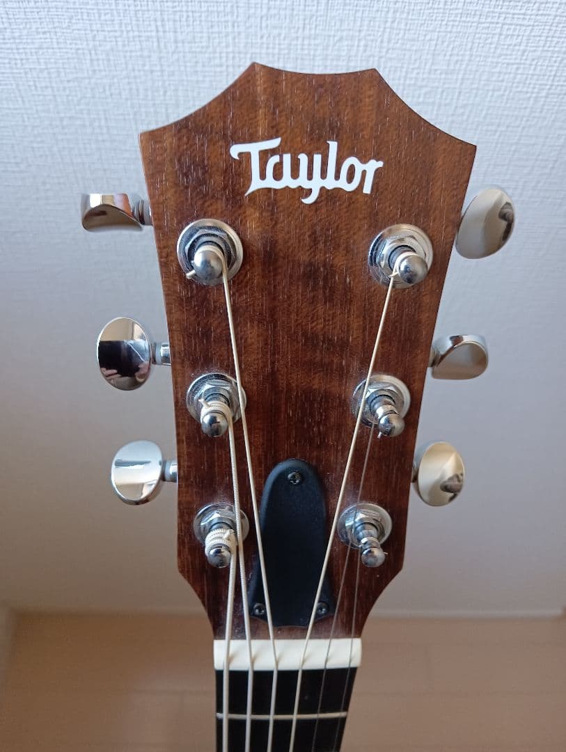Taylor GS Mini-e Mahogany　pickup付　専用ケース付