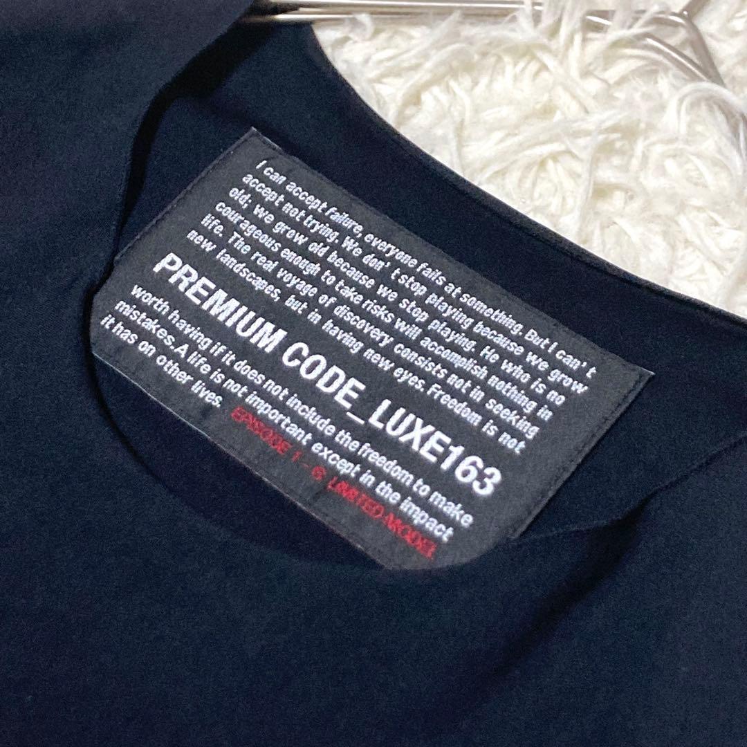 LUXE163AKMBB ナイロンプリオーバー　Tシャツ　ゴルフ　AKM