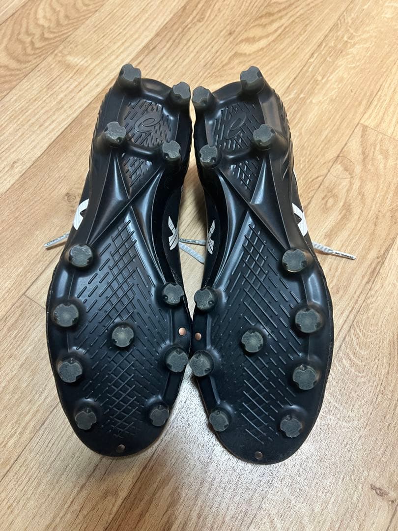 【最終値下げ】美品 アシックス asics DS LIGHT X-FLY5