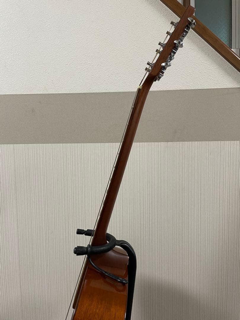 Martin & Co. アコースティックギター　オールマホガニー