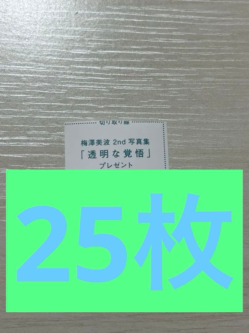 乃木坂46 梅澤美波　写真集　透明な覚悟　応募券20枚