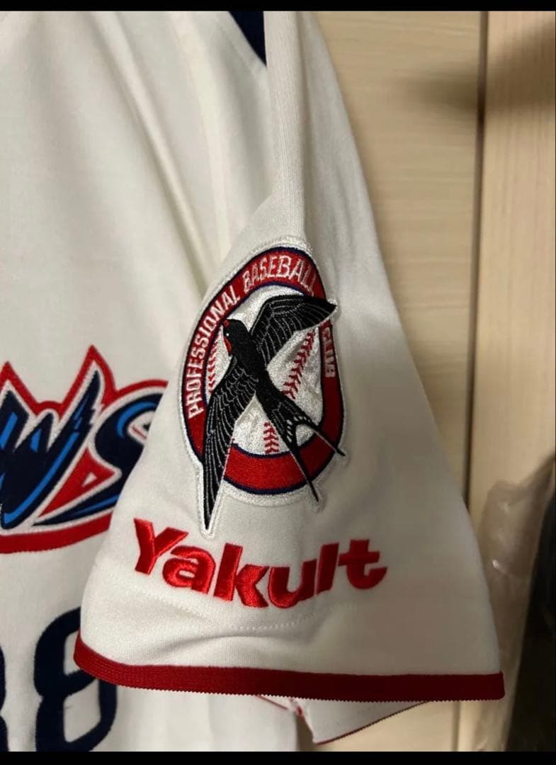 さぁ、池山ヤクルトの逆襲はこの人にかかっている！