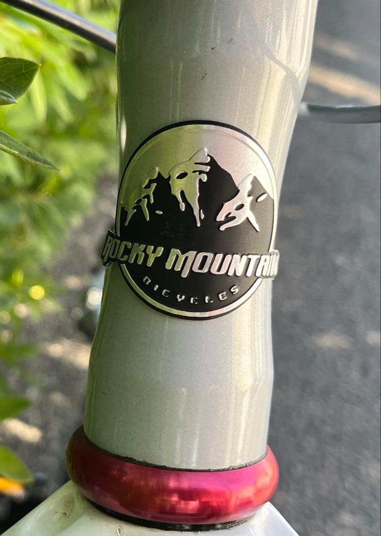 軽量Rocky Mountain Element マウンテンバイク　カーボン