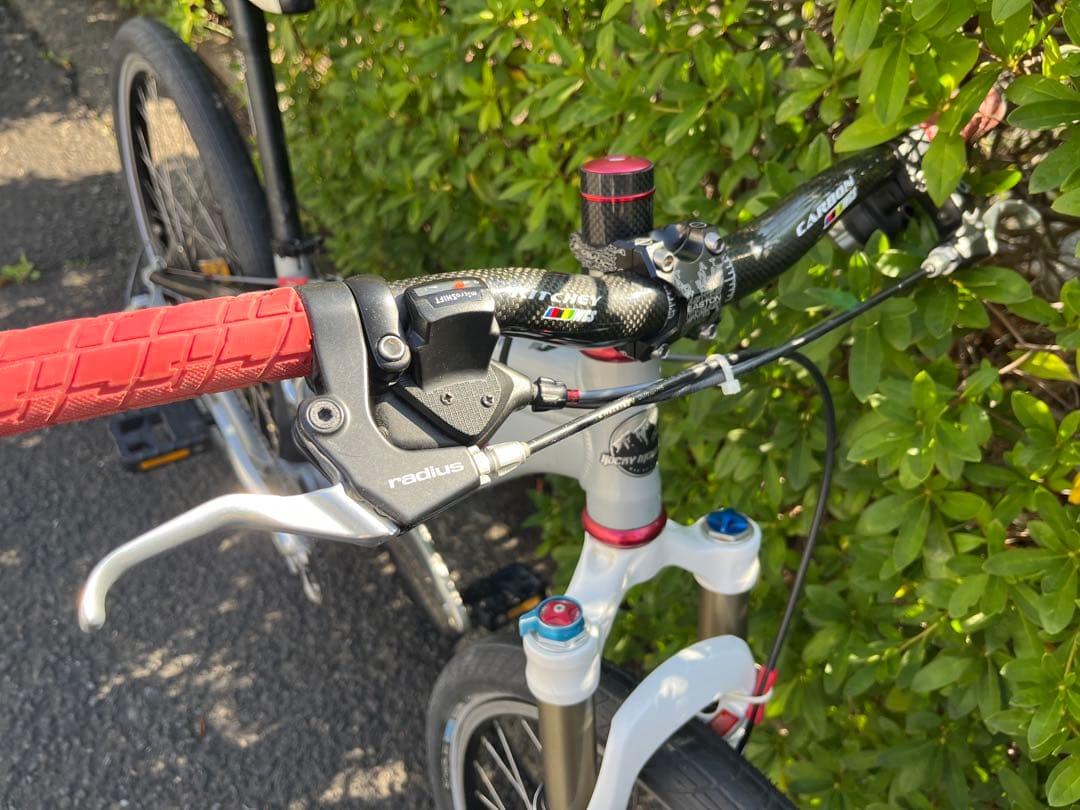軽量Rocky Mountain Element マウンテンバイク　カーボン