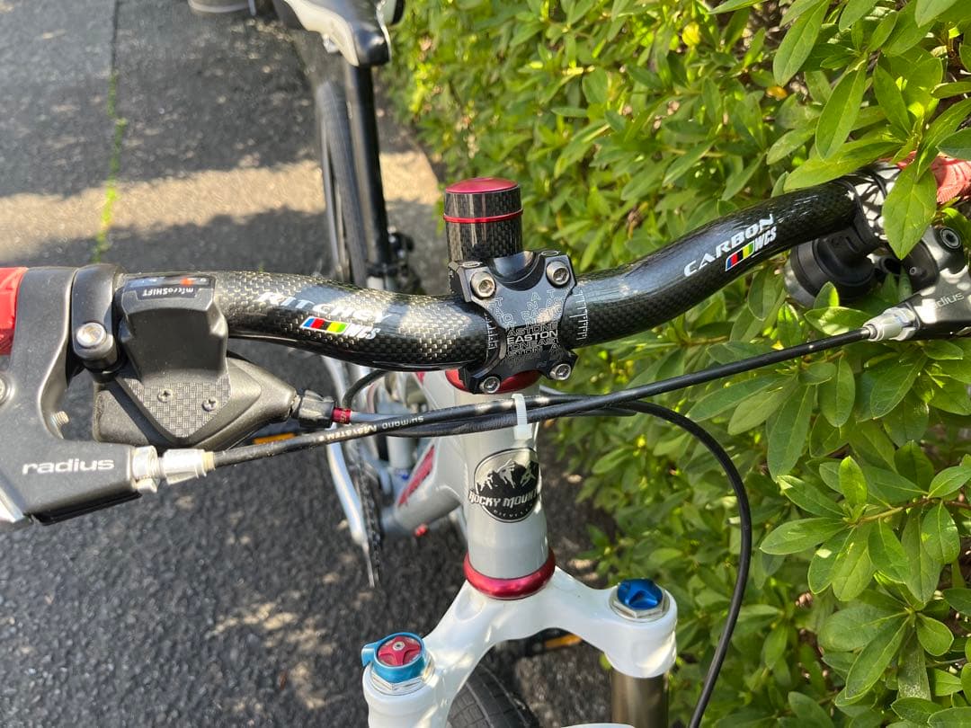 軽量Rocky Mountain Element マウンテンバイク　カーボン