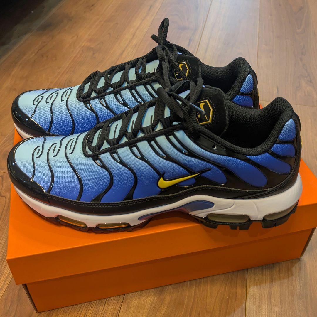 Nike Air Max Plus ゴルフ 青/黒 28.5cm