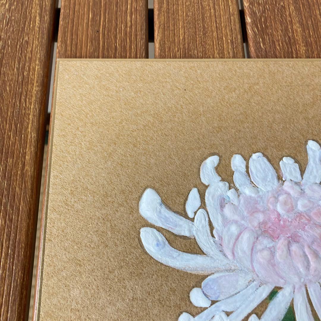 TS80 菊 色紙 絵画 日本画 芸術 伝統 工芸品 白菊 秋 季節 飾り